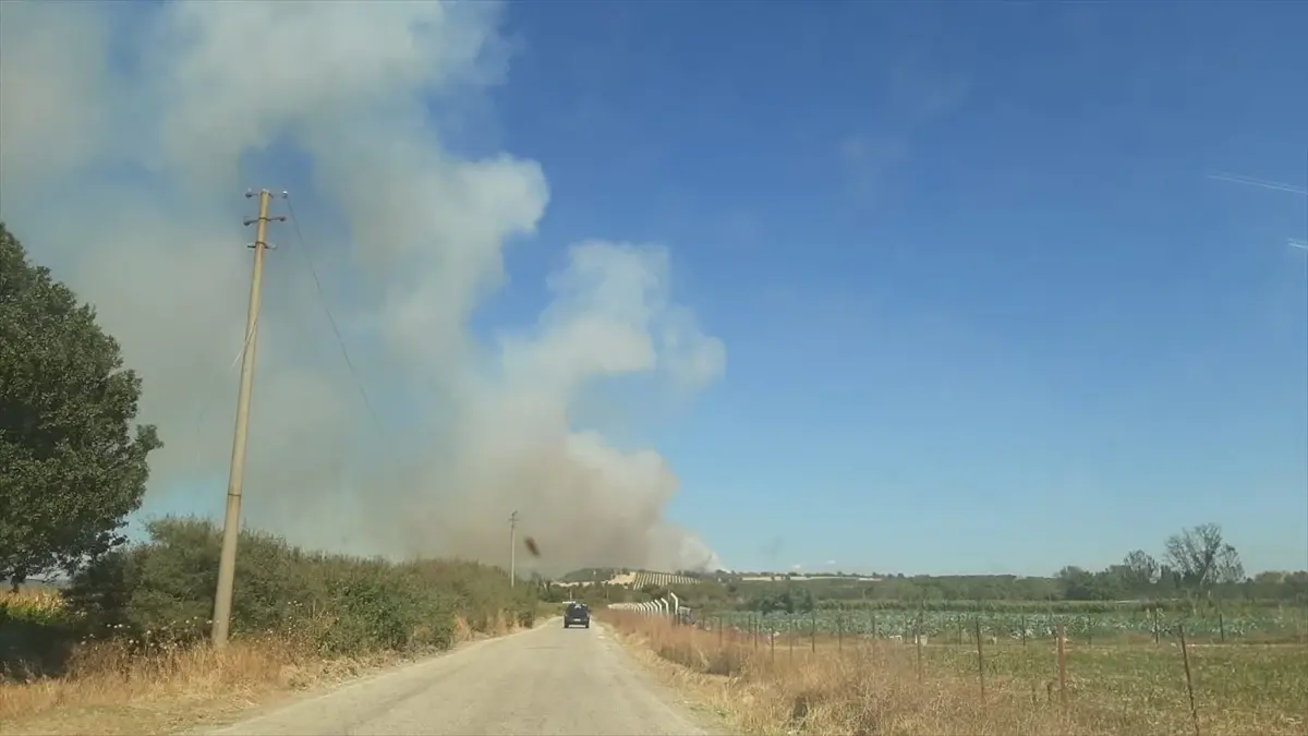 ezinede zeytinlikte yangin 822nvKeQ