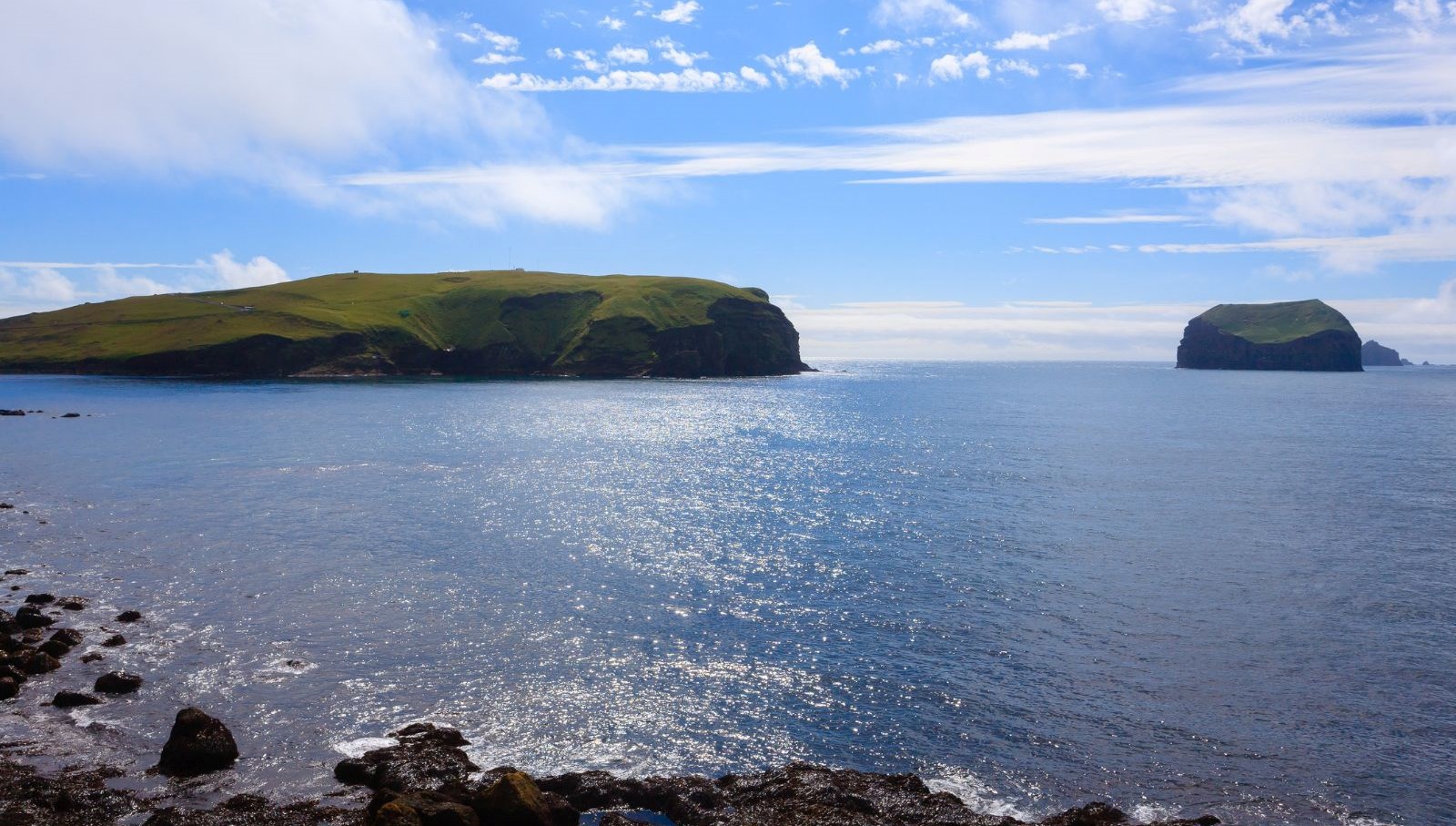 60 yil once dogan ada tabiatin kendini nasil onardiginin kaniti oldu 6jXqRX8M.jpg