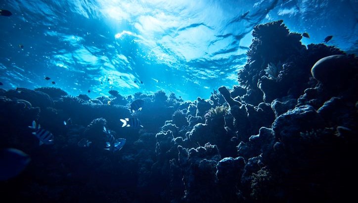 okyanusun altindan siziyor antarktikada sasirtan kesif HsCwaKUz