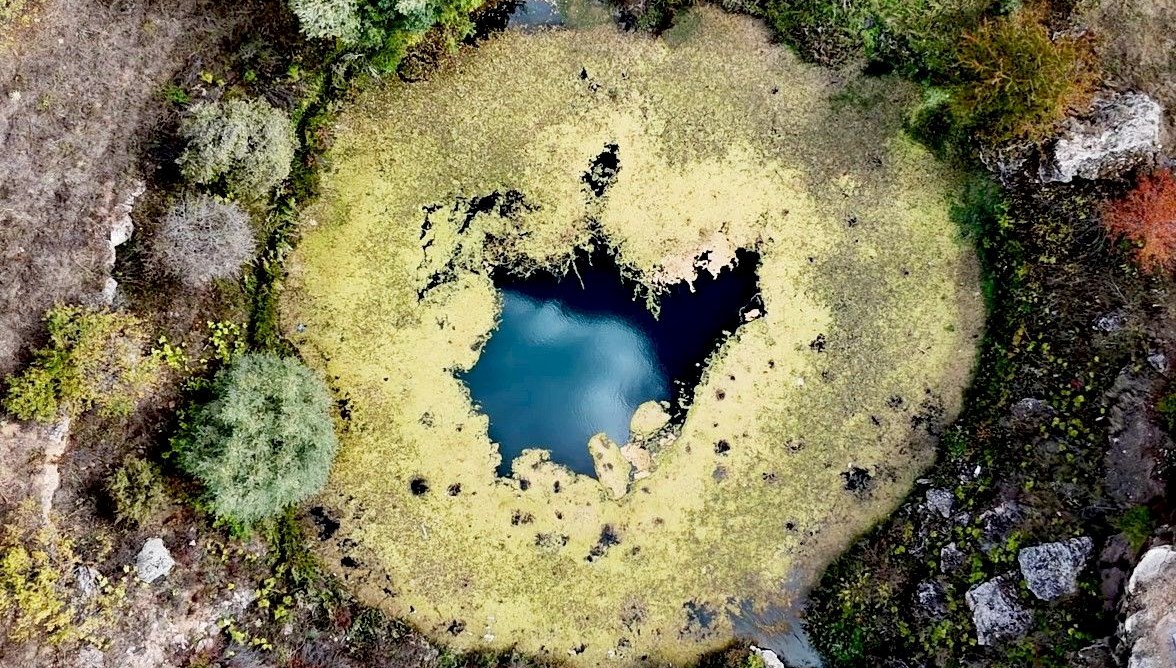 timsah gozu hazan guzelligiyle buyuluyor v83kHi5r