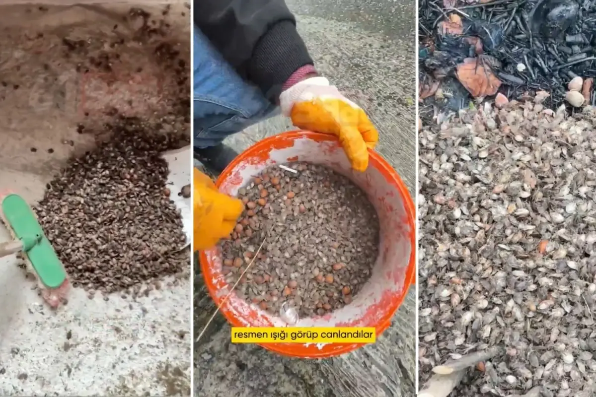 turkiyenin oteki gundemi son virajdayiz diyen vatandastan endiselendiren sozler Dr3yMyUi.jpg